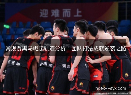 常规赛黑马崛起轨迹分析，团队打法成就逆袭之路